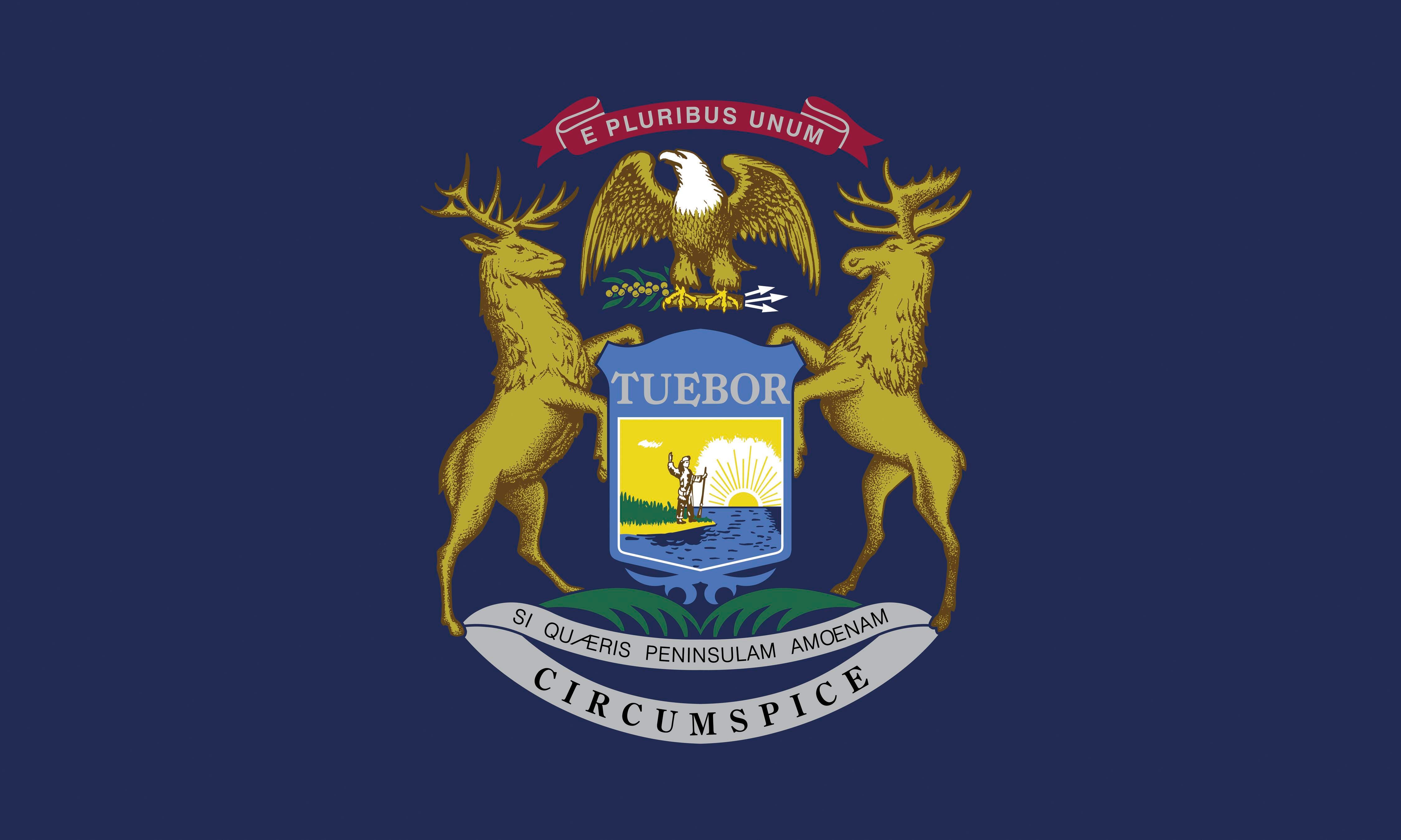 Annin Nylon Michigan Heavy Weight Outdoor State Flag, 4 X 6 ft, Item Number 017307